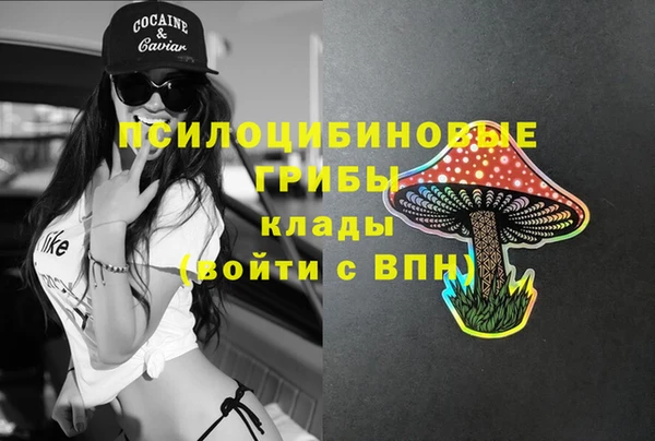 спайс Алексин
