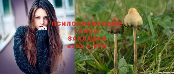 спайс Алексин